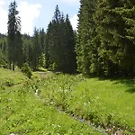 Stare Koliesko, Jasna, Lejlighed