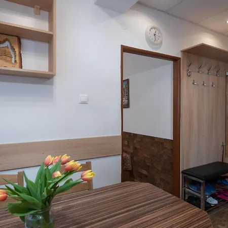 Stare Koliesko, Jasna, Apartament *