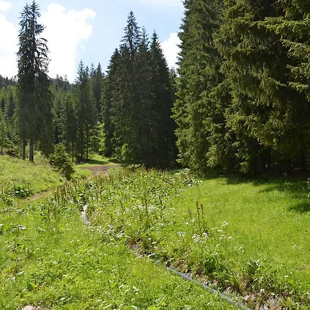 Staré Koliesko, Jasná, Apartmán